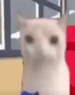 Video sticker 😐 @stickeri_tg 💋<-- стикеры тут