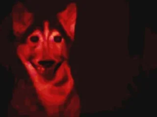 Video sticker 🌟 🐙 Impossible Octopus :: @fStikBot