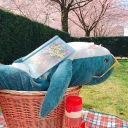 Video sticker 🦈 ikeashark @IMG2D