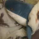 Video sticker 🦈 ikeashark @IMG2D