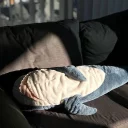 Телеграм стикер 🦈 ikeashark @IMG2D