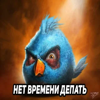 Video sticker 😬 https://t.me/shizatemika