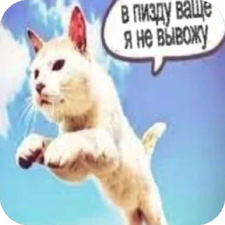 Telegram sticker 🫥 Больше стиков тут: @stikery4