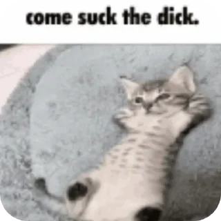 Video sticker 🐱 @LuxFOA | @LuxsHQ :: @fStikBot