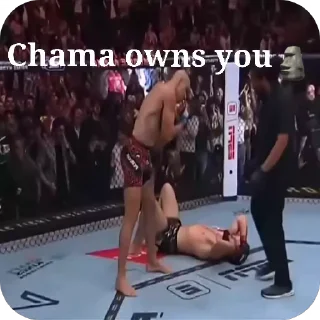 Video sticker 🗿 They will see something