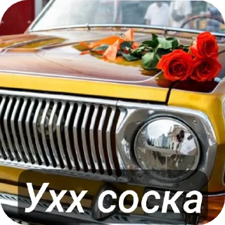 Video sticker 😍 ff00ff