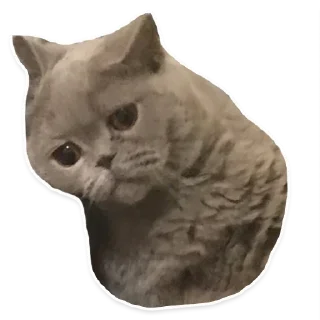 Telegram sticker 😞 ff00ff