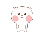 Video sticker 🤪 TuaGom Puffy Bear- @MochaStickers