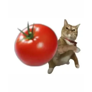 Telegram sticker 🍅 girlboss