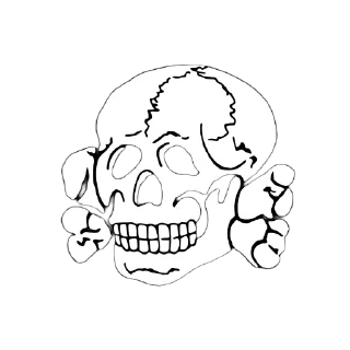 Video sticker 💀 Україномовний Нацизм