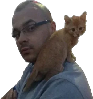 Telegram sticker 🐨 Tesak