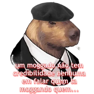 Telegram sticker 🎩 Capivaresco