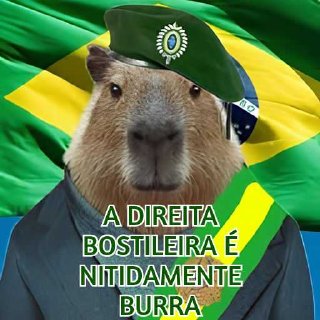 Telegram sticker 🇧🇷 Capivaresco