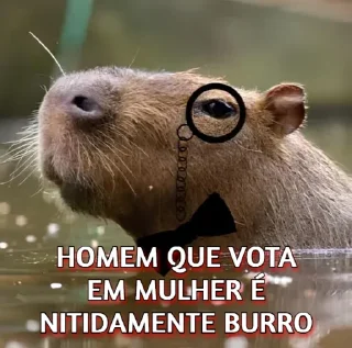 Telegram stiker 🧐 Capivaresco