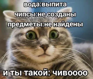 Telegram sticker 🤩 свага