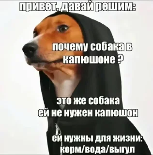 Telegram sticker 🤩 свага