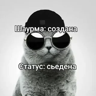 Telegram sticker 🤩 свага