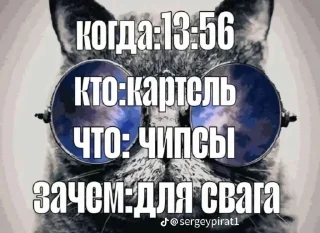 Sticker 🤩 свага