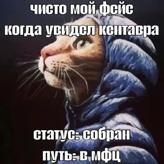 Telegram sticker 🤩 свага