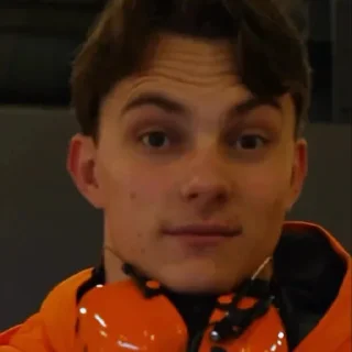 Telegram sticker 🏁 рэдбуллинг @redbullying_f1