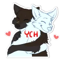Video sticker ❤️ Darek Wingo