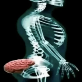 Video sticker 💀 teektok