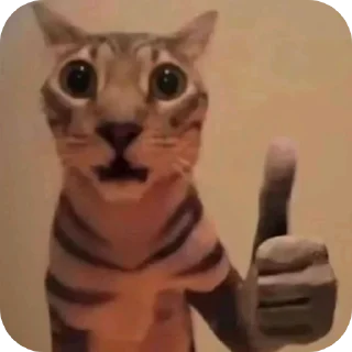 Video sticker 🤲 hmmm