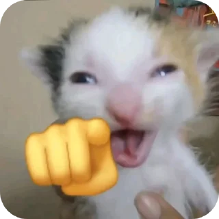 Telegram sticker ✋ hmmm