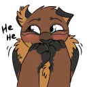 Video sticker 😁 Kuppy