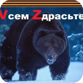 Telegram sticker 🖼 ЗАХОДИ в Тгк @ZalupaDedushki :: @fStikBot