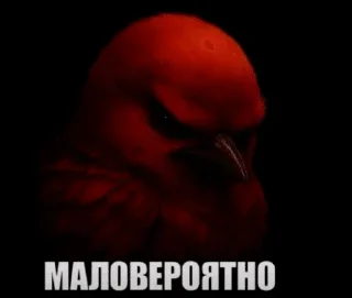 Video sticker 🌟 Создатель @kryeex