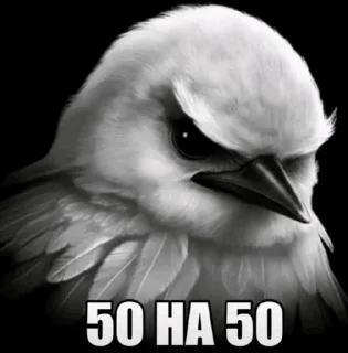 Telegram stiker 🌟 Создатель @kryeex