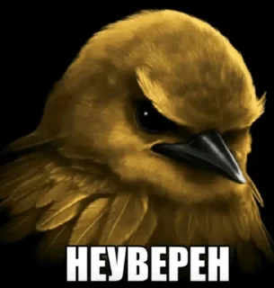 Telegram stiker 🌟 Создатель @kryeex