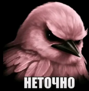 Video sticker 🌟 Создатель @kryeex