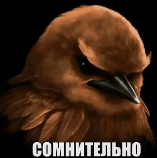 Telegram stiker 🌟 Создатель @kryeex