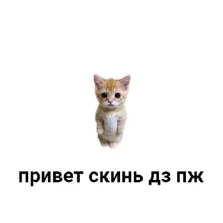 Telegram stiker 🙏 стик.@son_iz :: @fStikBot