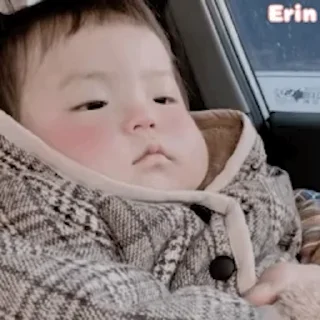 Video sticker 🌾 萝卜国际@lbgj88