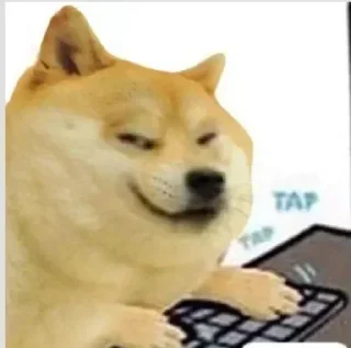 Telegram sticker 😎 Doge / Cheems : @Wickers