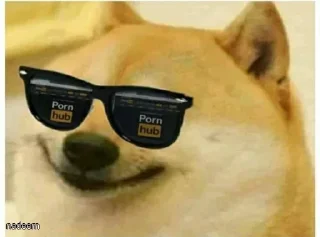 Telegram sticker 😎 Doge / Cheems : @Wickers