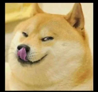 Video sticker 😝 Doge / Cheems : @Wickers