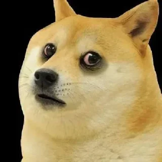 Telegram sticker 😨 Doge / Cheems : @Wickers