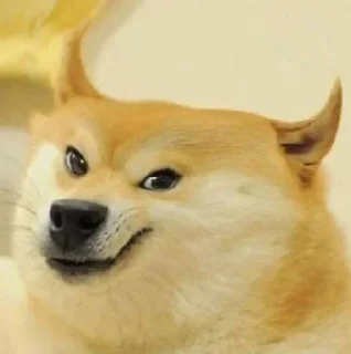 Video sticker 😈 Doge / Cheems : @Wickers