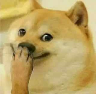 Telegram sticker 🙂 Doge / Cheems : @Wickers