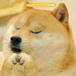 Telegram sticker 😢 Doge / Cheems : @Wickers