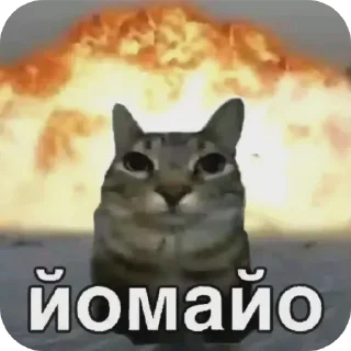 Video sticker 💥 ДаркСоул