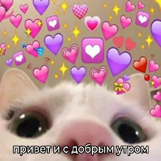 Telegram sticker 🌄 Suka blyat