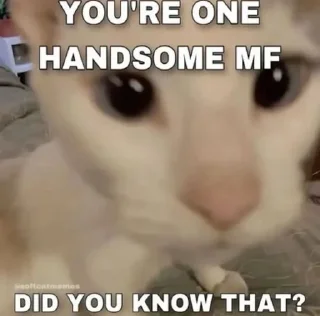 Телеграм стикер 🌟 closer to god @afterfag