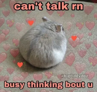 Телеграм стикер 🌟 closer to god @afterfag