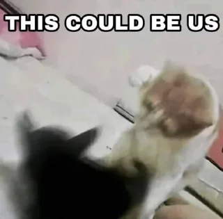 Video sticker 🌟 closer to god @afterfag