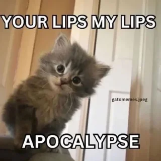 Телеграм стикер 🌟 closer to god @afterfag